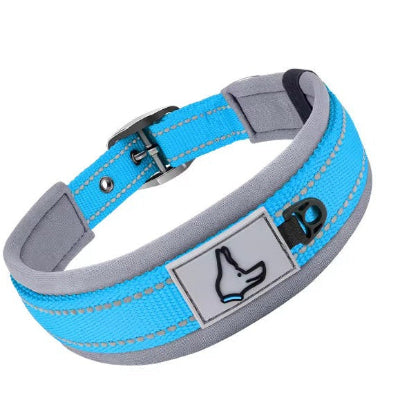  neoprene rembourre bleu collier pour chien robuste