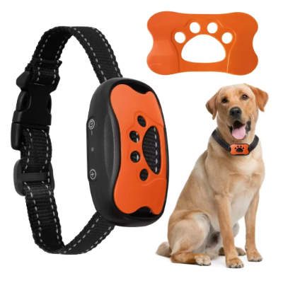 orange vibration rechargeable collier de dressage pour chien