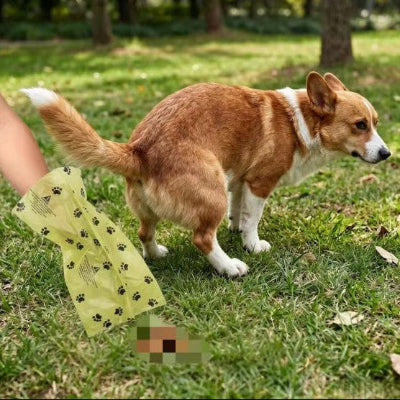 personne prend avec sac a crotte dechet chien
