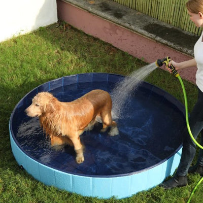 piscine pour chien bleue rafraichissante avec tuyau arrosage