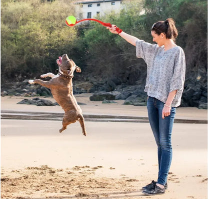 pitbull joue avec lanceur de balle pour chien