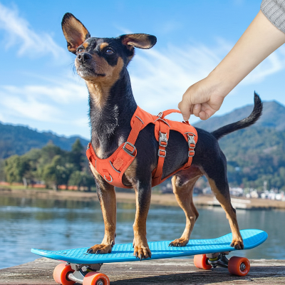 poignee dorsale rembourree harnais chien randonnee au bord de leau