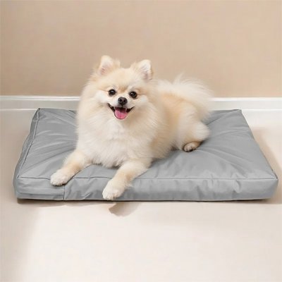 pomeranian blanc heureux coussin pour chien taille petite