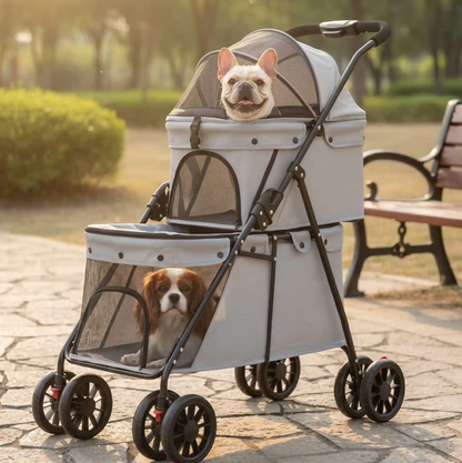 poussette pour chien grise parc avec bouldogue et cavalier king charles