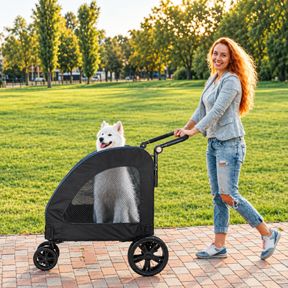 poussettes pour chiens noire femme promène chien blanc parc