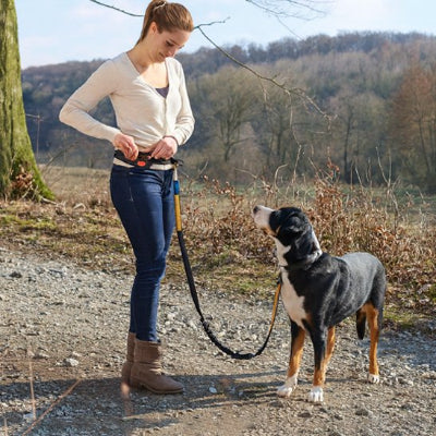 randonnee nature avec laisse chien main libre orange 