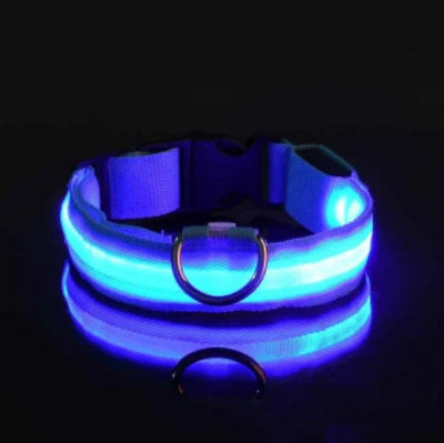 rechargeable etanche collier lumineux pour chien bleu
