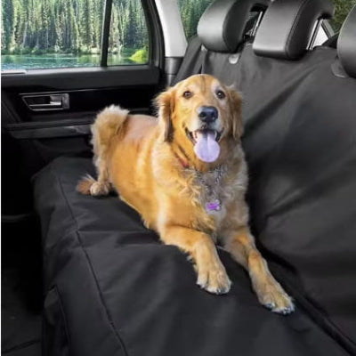 resistante griffures poils eau golden assis housse voiture chien