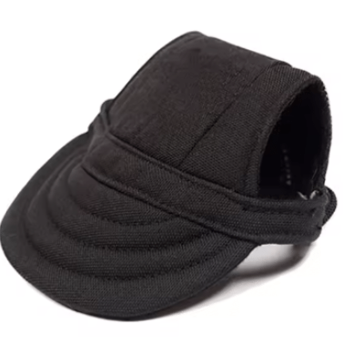respirante casquette chien noire 
