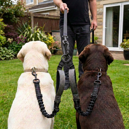 Double laisse pour chien | Anti-emmêlement