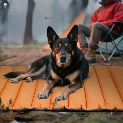 sable berger allemand dort tapis pour chien tissu polypropylene