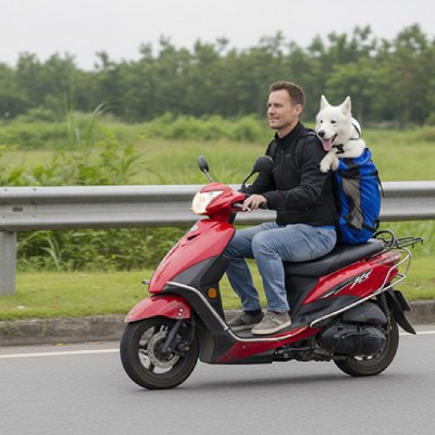 Sac a dos pour Chien bleu sur moto aventure securise