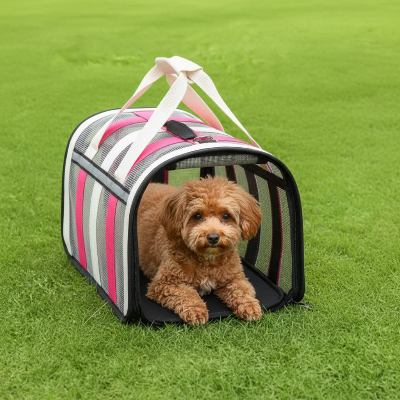 sac de transport chien rose blanc caniche sur gazon