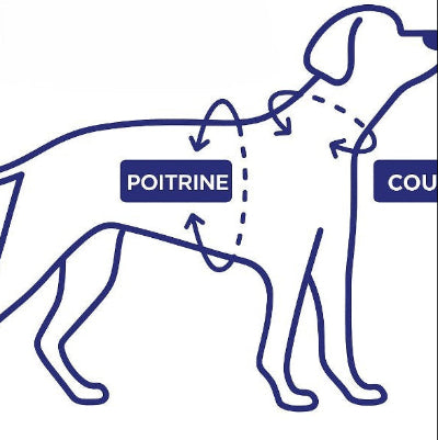 schema guide ajustement harnais lumineux led chien