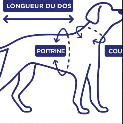 schema guide mesure manteau pour chien dos poitrine cou