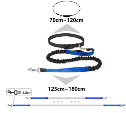 schema mesure laisse chien main libre
