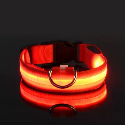 securite nuit led rouge collier lumineux pour chien