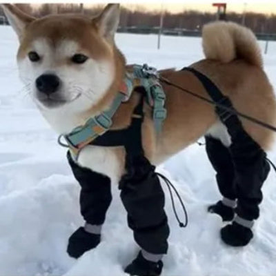 shiba inu bottes pour chien impermeables neige