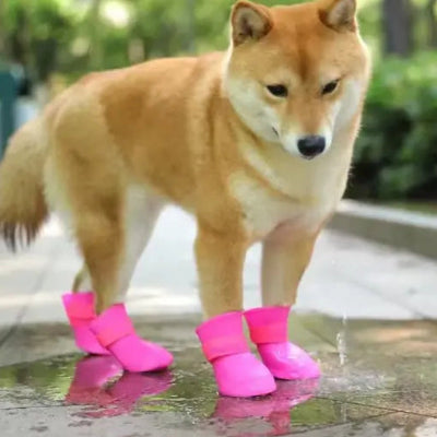 shiba vise eau terre vetu chaussure chien rose legere