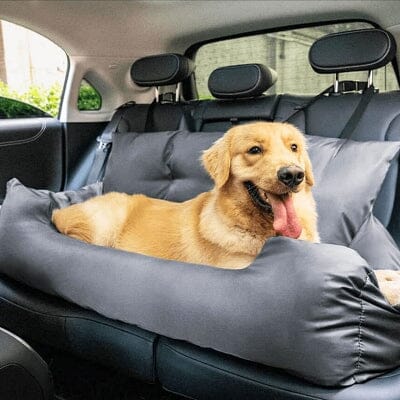 SIEGE AUTO POUR CHIEN - CarrierTravelDog™ - Gris - Chien dynamic