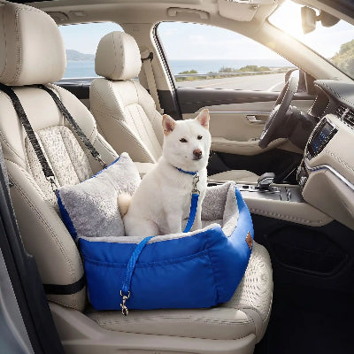 siege auto pour chiens securise en voiture