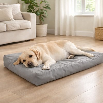  sur coussin pour chien moelleux labrador beige dort profondement 