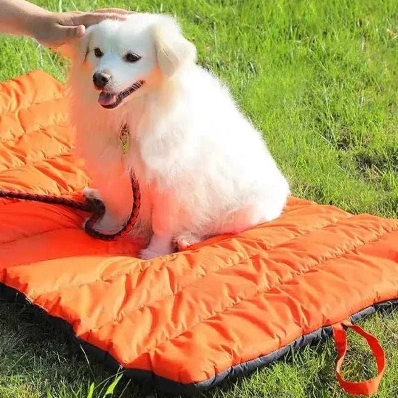  sur gazon tapis pour chien petit samoyede assis
