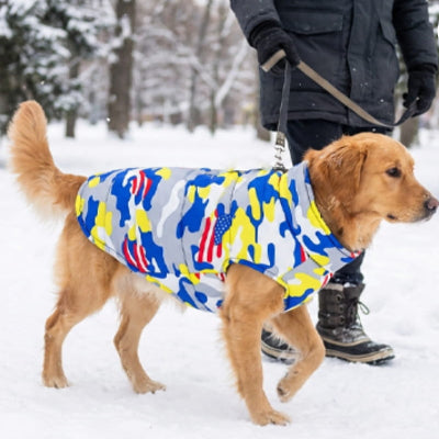 sur neige en manteau chien camouflage golden retriever heureux 