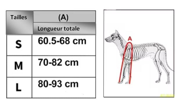 tableau taille mesure botte pour chien
