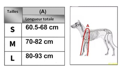 tableau taille mesure botte pour chien