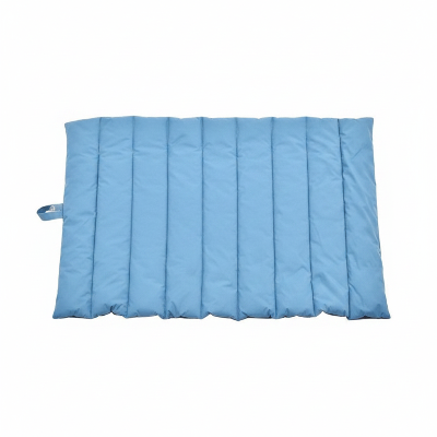 tapis pour chien bleu coutures renforees