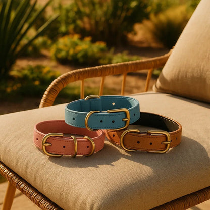 trois colliers chien bleu maron rose sur chaise