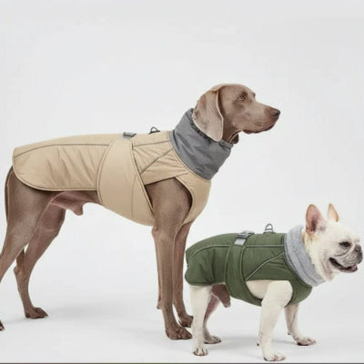 vetement hiver chaud manteau pour chien adapte