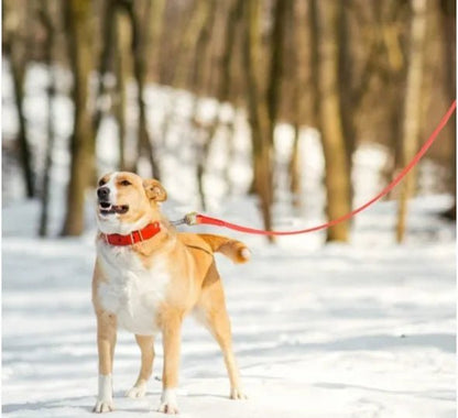 vetu longe pour chien rouge max joue neige