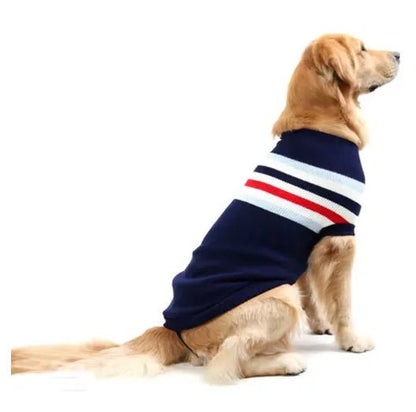  vetu pull pour chien bleu raye golden retriever assis